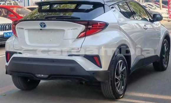 اشتري مستعمل Toyota C-HR White سيارة في Banjul في Banjul اشتري مستعمل Toyota C-HR White سيارة في Banjul في Banjul