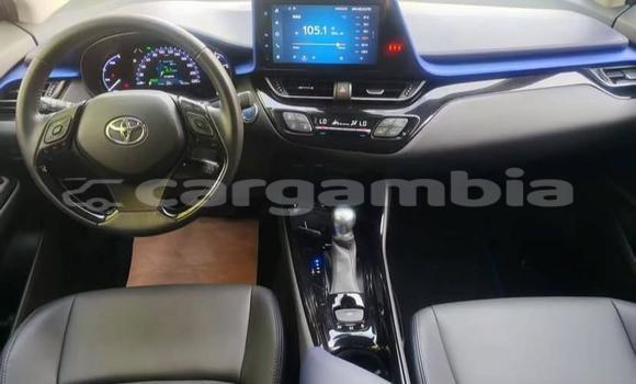 اشتري مستعمل Toyota C-HR White سيارة في Banjul في Banjul اشتري مستعمل Toyota C-HR White سيارة في Banjul في Banjul