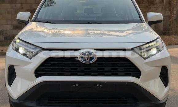 Buy Used Toyota RAV4 White Car in Banjul in Banjul