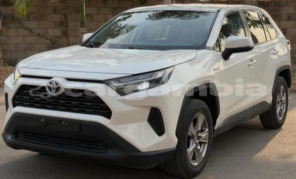 اشتري مستعمل Toyota RAV4 White سيارة في Banjul في Banjul اشتري مستعمل Toyota RAV4 White سيارة في Banjul في Banjul