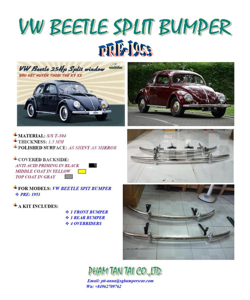 Big with watermark beetle split 53
