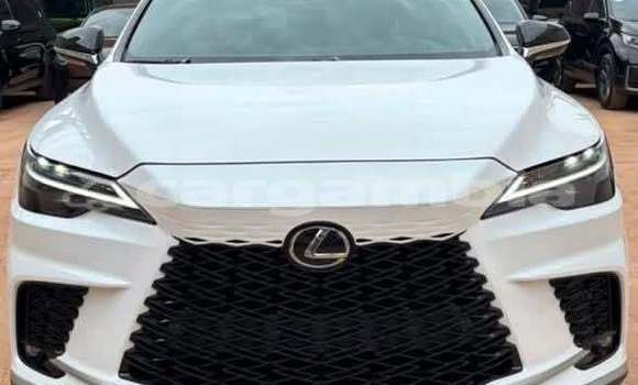 Buy Used Lexus NX White Car in Banjul in Banjul