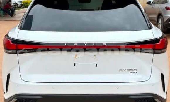 Buy Used Lexus NX White Car in Banjul in Banjul Buy Used Lexus NX White Car in Banjul in Banjul