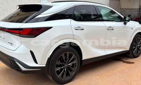 Buy Used Lexus NX White Car in Banjul in Banjul Buy Used Lexus NX White Car in Banjul in Banjul