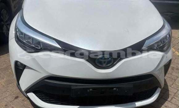 Buy Used Toyota C-HR White Car in Banjul in Banjul Buy Used Toyota C-HR White Car in Banjul in Banjul