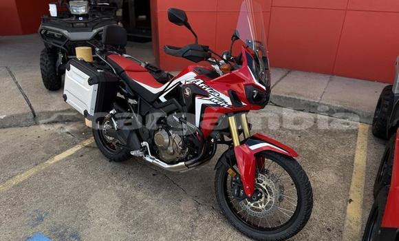 Buy Used Honda CRF Red Bike in Banjul in Banjul