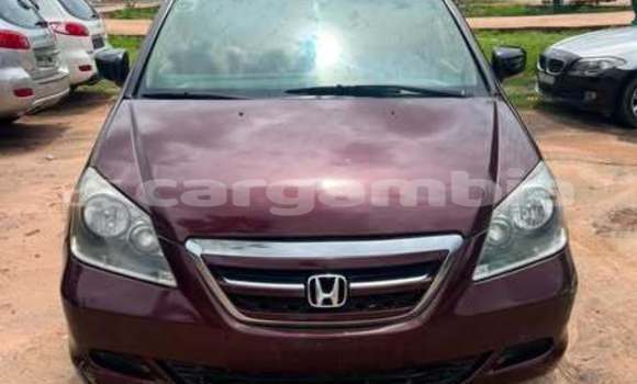 Buy Used Honda Accord Other Car in Banjul in Banjul