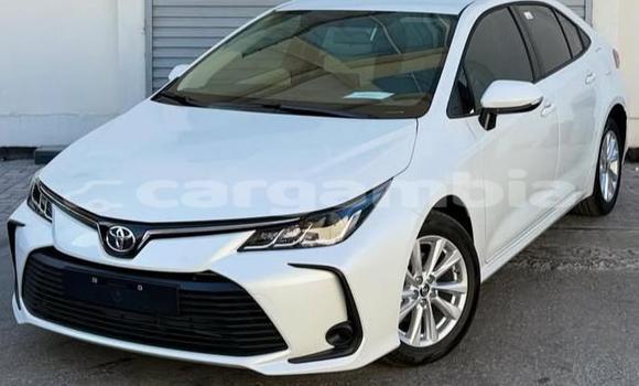 Buy Used Toyota Corolla White Car in Banjul in Banjul