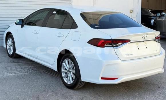 Buy Used Toyota Corolla White Car in Banjul in Banjul Buy Used Toyota Corolla White Car in Banjul in Banjul