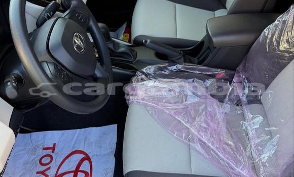 Buy Used Toyota Corolla White Car in Banjul in Banjul Buy Used Toyota Corolla White Car in Banjul in Banjul