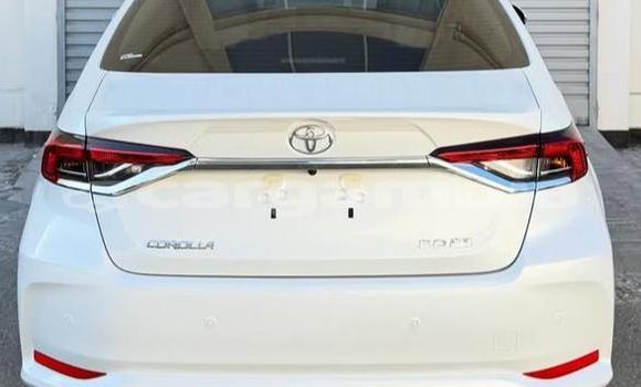 Buy Used Toyota Corolla White Car in Banjul in Banjul Buy Used Toyota Corolla White Car in Banjul in Banjul