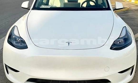 Buy Used Tesla Model X White Car in Banjul in Banjul