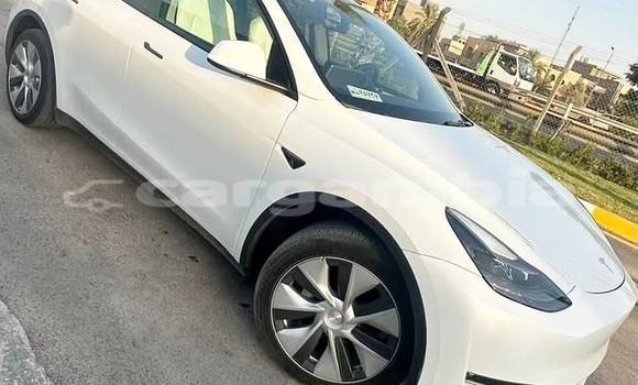 Buy Used Tesla Model X White Car in Banjul in Banjul Buy Used Tesla Model X White Car in Banjul in Banjul