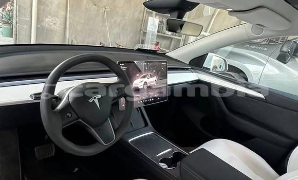 Buy Used Tesla Model X White Car in Banjul in Banjul Buy Used Tesla Model X White Car in Banjul in Banjul