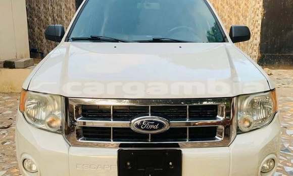 اشتري مستعمل Ford Escape White سيارة في Serekunda في Kanifing اشتري مستعمل Ford Escape White سيارة في Serekunda في Kanifing