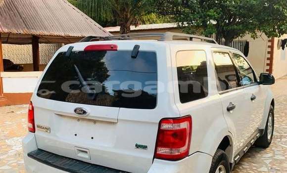 اشتري مستعمل Ford Escape White سيارة في Serekunda في Kanifing اشتري مستعمل Ford Escape White سيارة في Serekunda في Kanifing