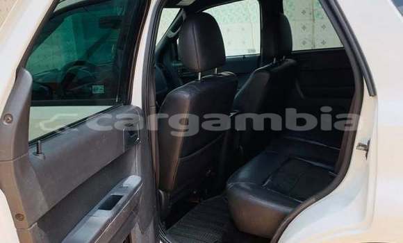 اشتري مستعمل Ford Escape White سيارة في Serekunda في Kanifing اشتري مستعمل Ford Escape White سيارة في Serekunda في Kanifing