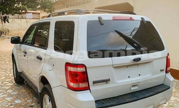 اشتري مستعمل Ford Escape White سيارة في Serekunda في Kanifing اشتري مستعمل Ford Escape White سيارة في Serekunda في Kanifing
