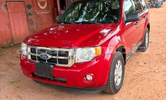 Buy Used Ford Escape Red Car in Serekunda in Kanifing