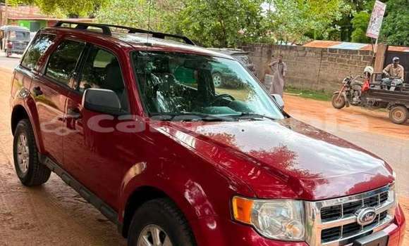 Dieundeu Occasion Ford Escape Red Auto in Serekunda in Kanifing Dieundeu Occasion Ford Escape Red Auto in Serekunda in Kanifing