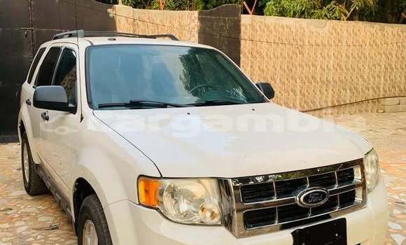 Buy Used Ford Escape White Car in Serekunda in Kanifing