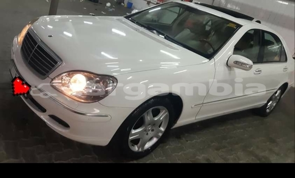Buy Used Mercedes-Benz S-klasse White Car in Gambissara in Basse Buy Used Mercedes-Benz S-klasse White Car in Gambissara in Basse