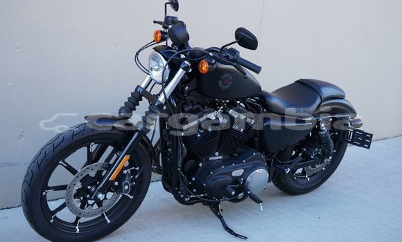 اشتري مستعمل Harley Davidson IRON Black دراجة نارية في Banjul في Banjul اشتري مستعمل Harley Davidson IRON Black دراجة نارية في Banjul في Banjul