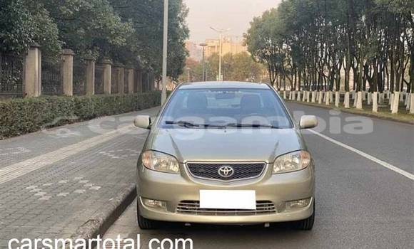 Buy Used Toyota Vios Silver Car in Bakau in Kanifing Buy Used Toyota Vios Silver Car in Bakau in Kanifing
