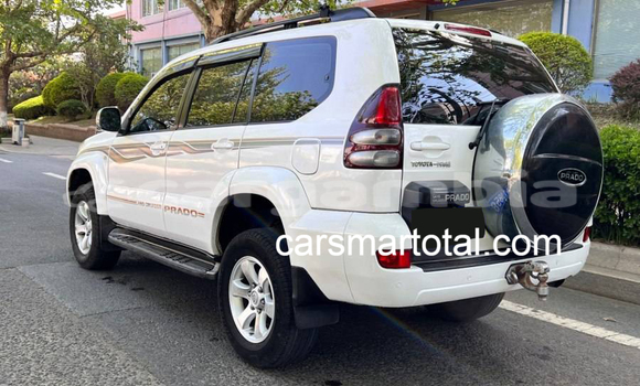 Buy Used Toyota Prado White Car in Gambissara in Basse Buy Used Toyota Prado White Car in Gambissara in Basse