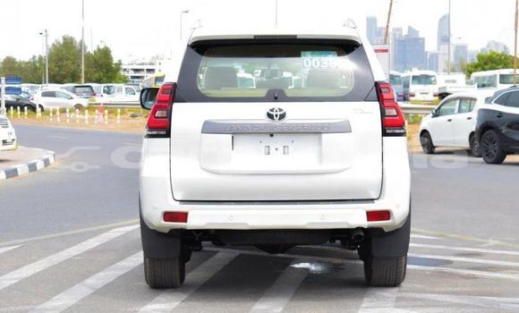 Buy New Toyota Land Cruiser Prado White Car in Bakau in Kanifing Buy New Toyota Land Cruiser Prado White Car in Bakau in Kanifing
