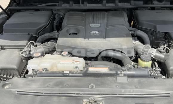 Buy New Toyota Land Cruiser Other Car in Bakau in Kanifing Buy New Toyota Land Cruiser Other Car in Bakau in Kanifing