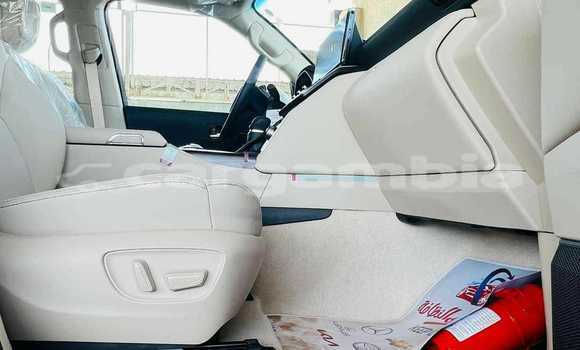 Buy New Toyota Land Cruiser White Car in Bakau in Kanifing Buy New Toyota Land Cruiser White Car in Bakau in Kanifing