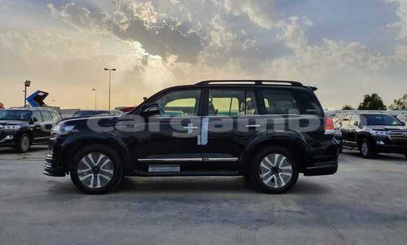 اشتري جديد Toyota Land Cruiser Black سيارة في Bakau في Kanifing اشتري جديد Toyota Land Cruiser Black سيارة في Bakau في Kanifing