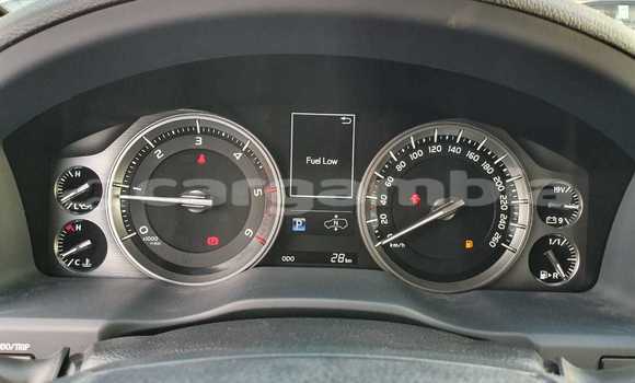 اشتري جديد Toyota Land Cruiser Black سيارة في Bakau في Kanifing اشتري جديد Toyota Land Cruiser Black سيارة في Bakau في Kanifing