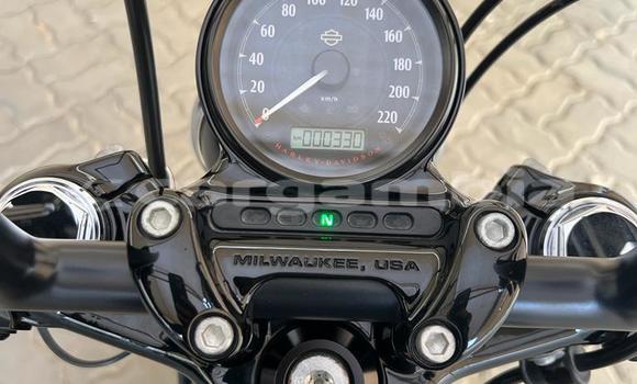 اشتري مستعمل Harley Davidson FORTY-EIGHT Black دراجة نارية في Banjul في Banjul اشتري مستعمل Harley Davidson FORTY-EIGHT Black دراجة نارية في Banjul في Banjul