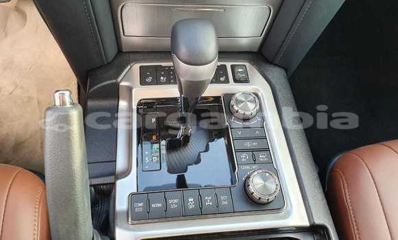 اشتري جديد Toyota Land Cruiser Black سيارة في Bakau في Kanifing اشتري جديد Toyota Land Cruiser Black سيارة في Bakau في Kanifing