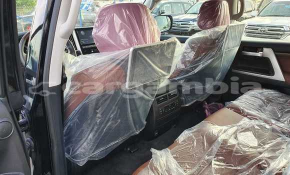 اشتري جديد Toyota Land Cruiser Black سيارة في Bakau في Kanifing اشتري جديد Toyota Land Cruiser Black سيارة في Bakau في Kanifing