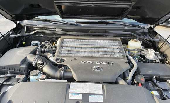 اشتري جديد Toyota Land Cruiser Black سيارة في Bakau في Kanifing اشتري جديد Toyota Land Cruiser Black سيارة في Bakau في Kanifing