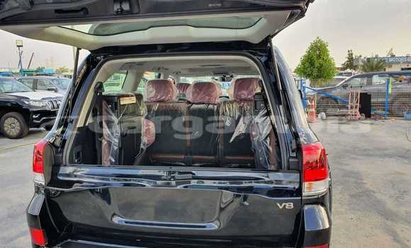 اشتري جديد Toyota Land Cruiser Black سيارة في Bakau في Kanifing اشتري جديد Toyota Land Cruiser Black سيارة في Bakau في Kanifing