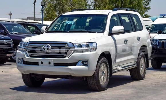 اشتري جديد Toyota Land Cruiser White سيارة في Bakau في Kanifing اشتري جديد Toyota Land Cruiser White سيارة في Bakau في Kanifing