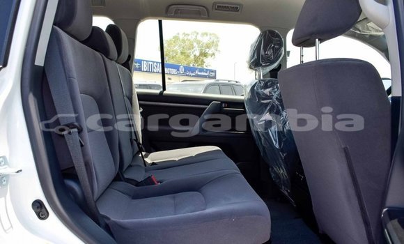 اشتري جديد Toyota Land Cruiser White سيارة في Bakau في Kanifing اشتري جديد Toyota Land Cruiser White سيارة في Bakau في Kanifing