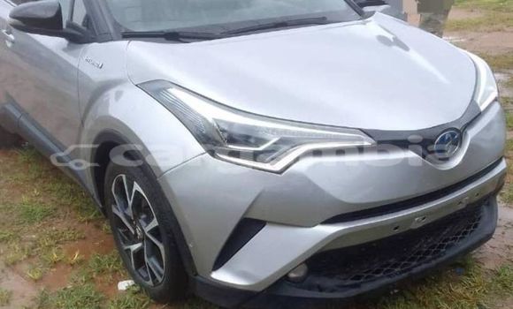 اشتري مستعمل Toyota C-HR Other سيارة في Banjul في Banjul اشتري مستعمل Toyota C-HR Other سيارة في Banjul في Banjul
