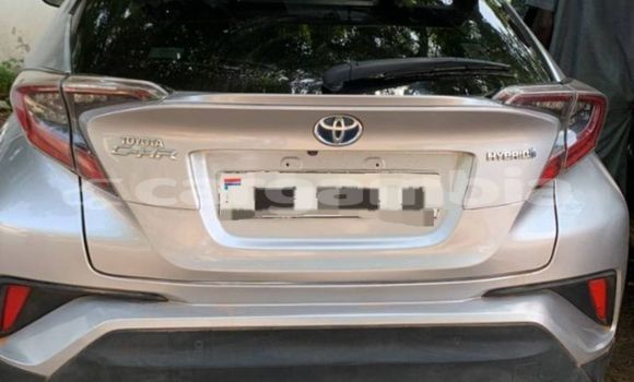اشتري مستعمل Toyota C-HR Other سيارة في Banjul في Banjul اشتري مستعمل Toyota C-HR Other سيارة في Banjul في Banjul