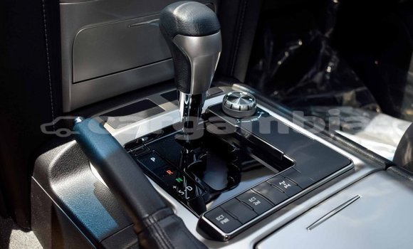 اشتري جديد Toyota Land Cruiser White سيارة في Bakau في Kanifing اشتري جديد Toyota Land Cruiser White سيارة في Bakau في Kanifing