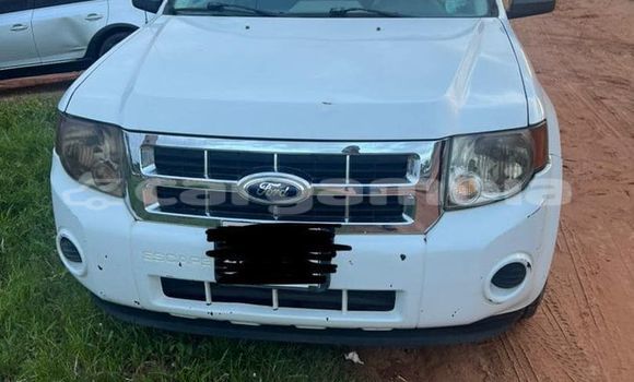 اشتري مستعمل Ford Escape White سيارة في Banjul في Banjul