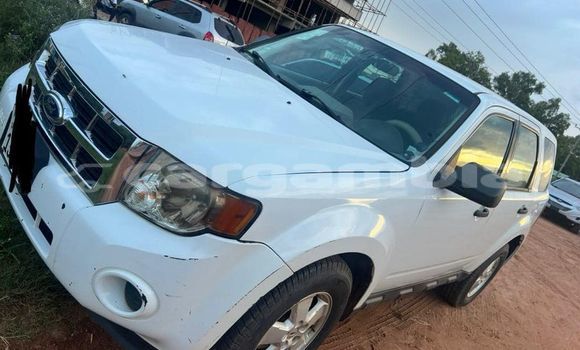Acheter Occasion Voiture Ford Escape Blanc à Banjul, Banjul Acheter Occasion Voiture Ford Escape Blanc à Banjul, Banjul