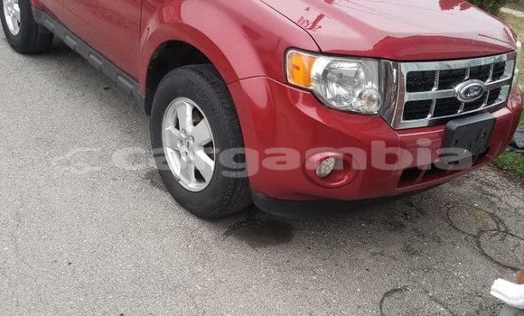 اشتري مستعمل Ford Escape Red سيارة في Banjul في Banjul