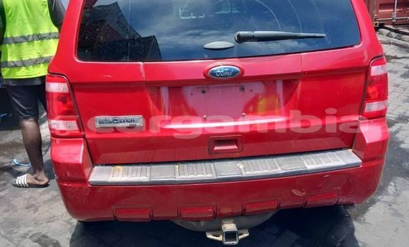 Acheter Occasion Voiture Ford Escape Rouge à Banjul, Banjul Acheter Occasion Voiture Ford Escape Rouge à Banjul, Banjul