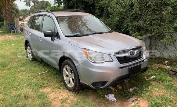 اشتري مستعمل Subaru Forester Other سيارة في Banjul في Banjul