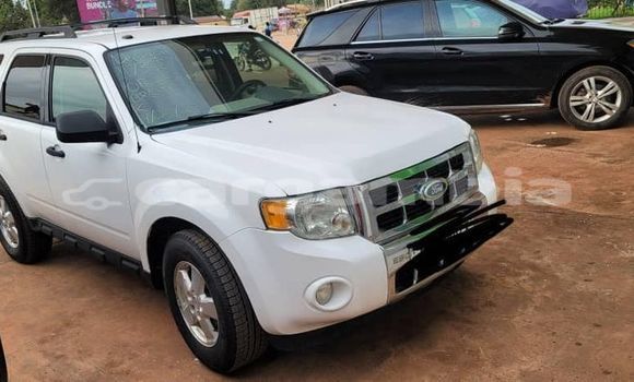 اشتري مستعمل Ford Escape White سيارة في Banjul في Banjul